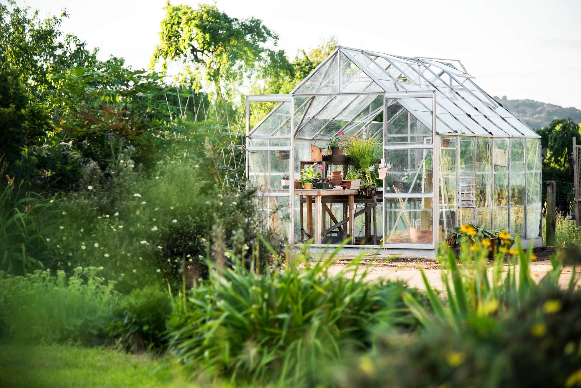 Greenhouse Glass